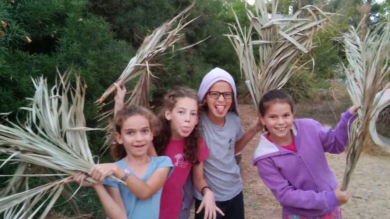סרט סיכום חודש ארגון סניף טירת צבי תשע