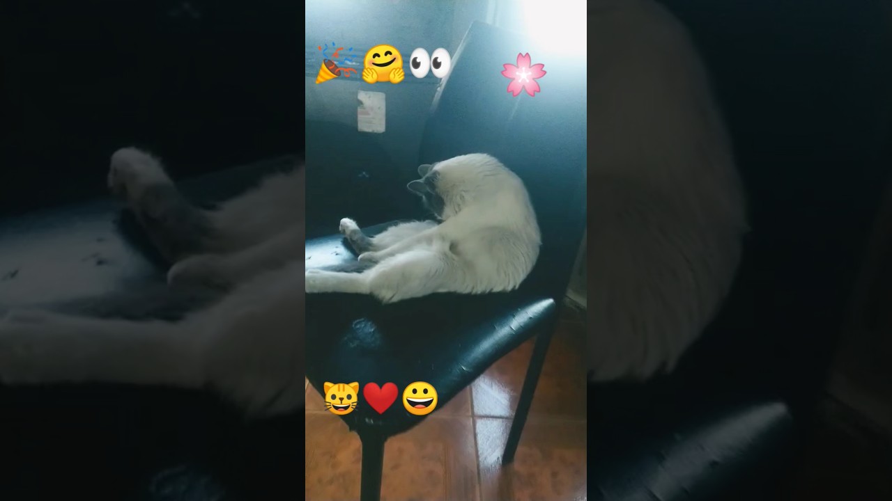 feliz año nuevo 🎈