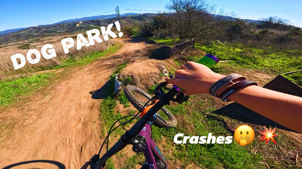 Crazy day at dog park!🔥 crashes🫢💥