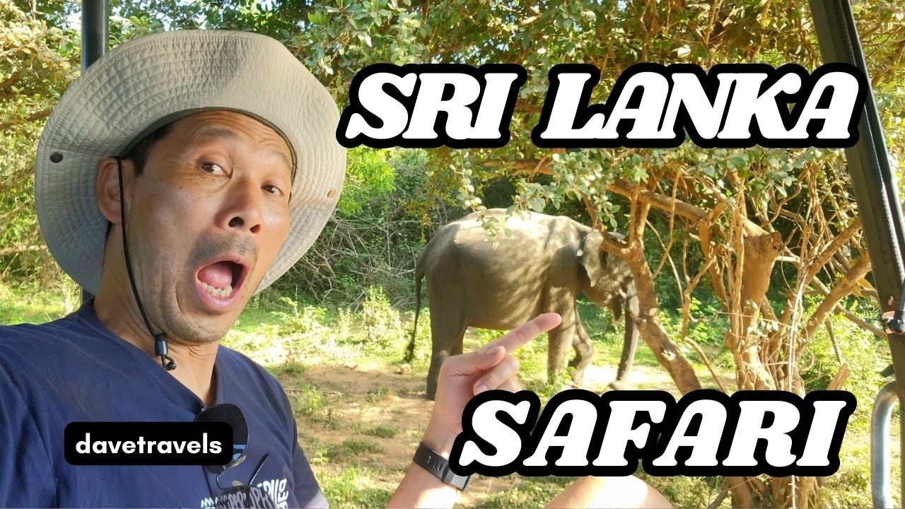 Сафари в национальном парке Яла 🐘 Шри-Ланка 🇱🇰
