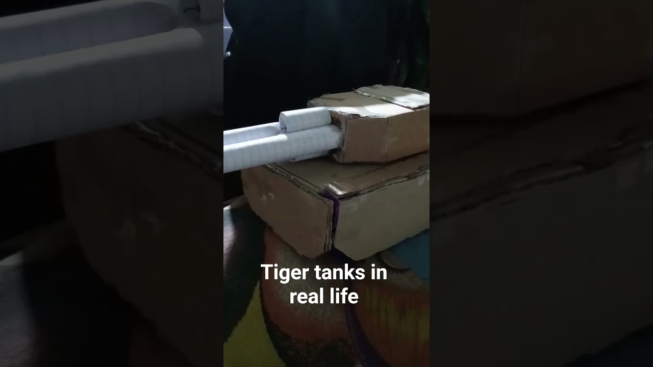 tank Tiger in real life 😮😮😮