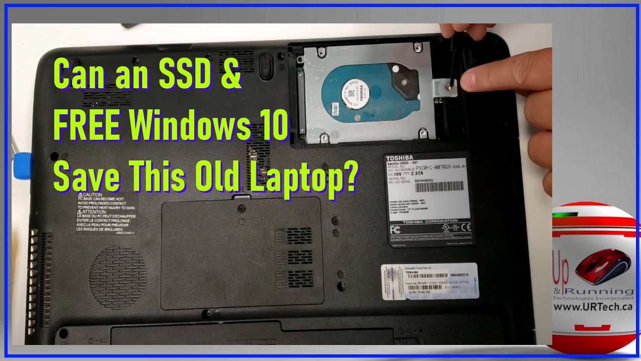 Toshiba Satellite C650D: замена жесткого диска на SSD, бесплатная установка Windows 10, тестирова...