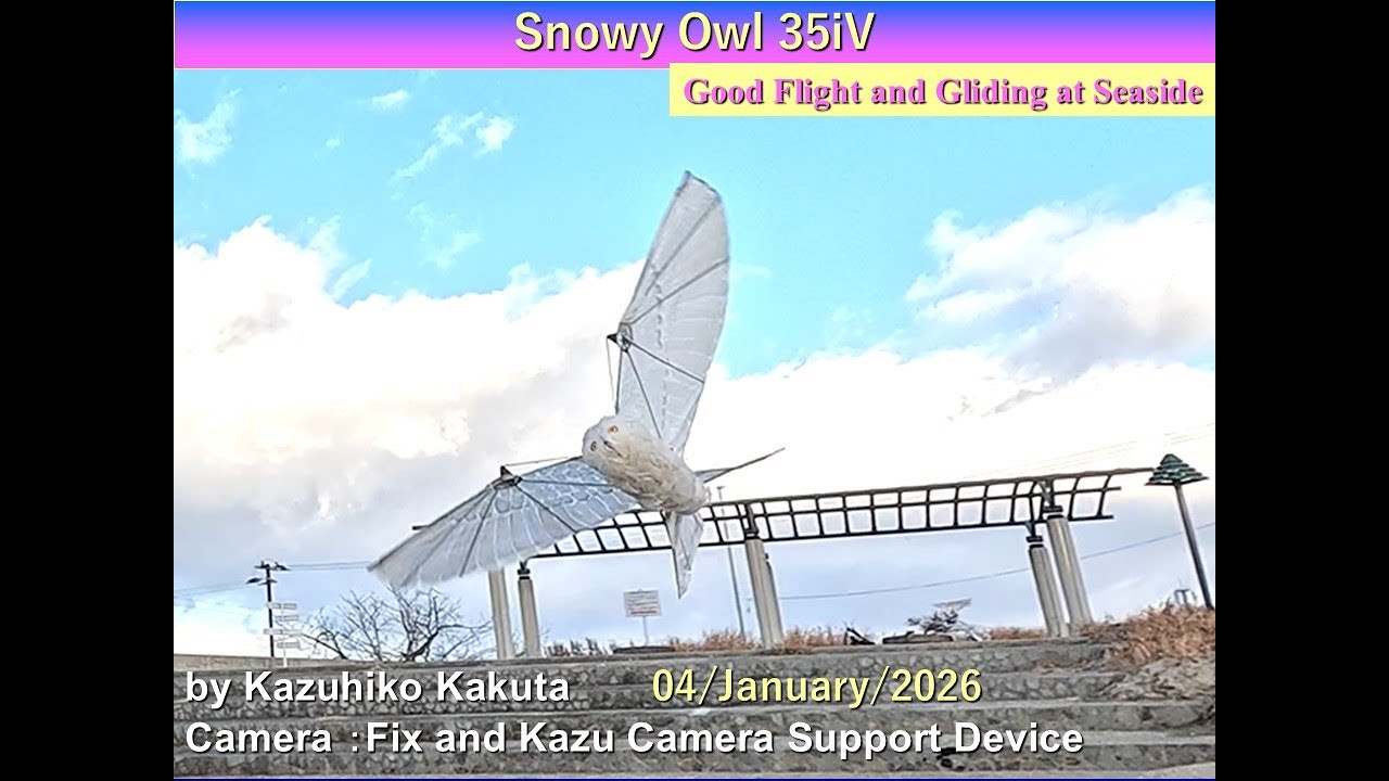 Ornithopter フクロウ型羽ばたき機　SnowyOwl35iV-1: Good Flight and Gliding at Seaside