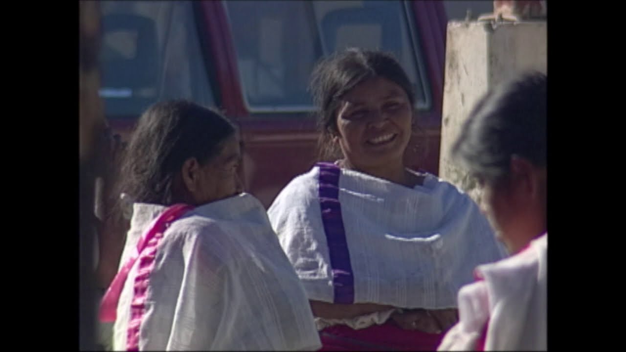 Magia Vegetal - Papel Amate