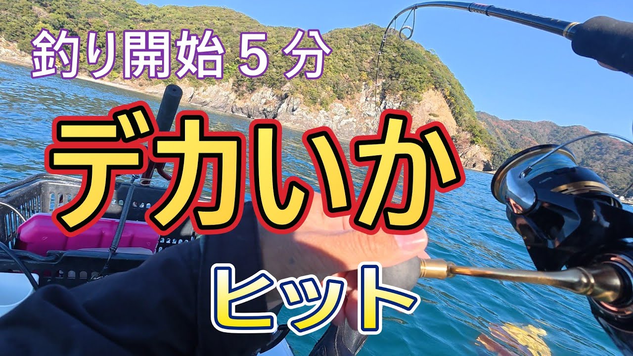 サップでエギングしたらでかいアオリイカ、ジギングで根魚釣れたのでスシにする
