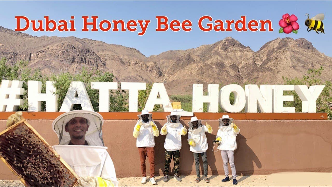 Hatta Honey Bee Garden | Dubai 🌺 🐝| Middle East&rsquo;s first queen bee rearing station