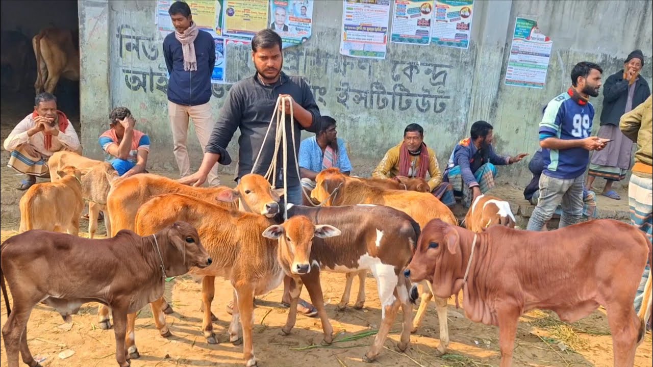 @আজ ১৬ ফেব্রুয়ারী