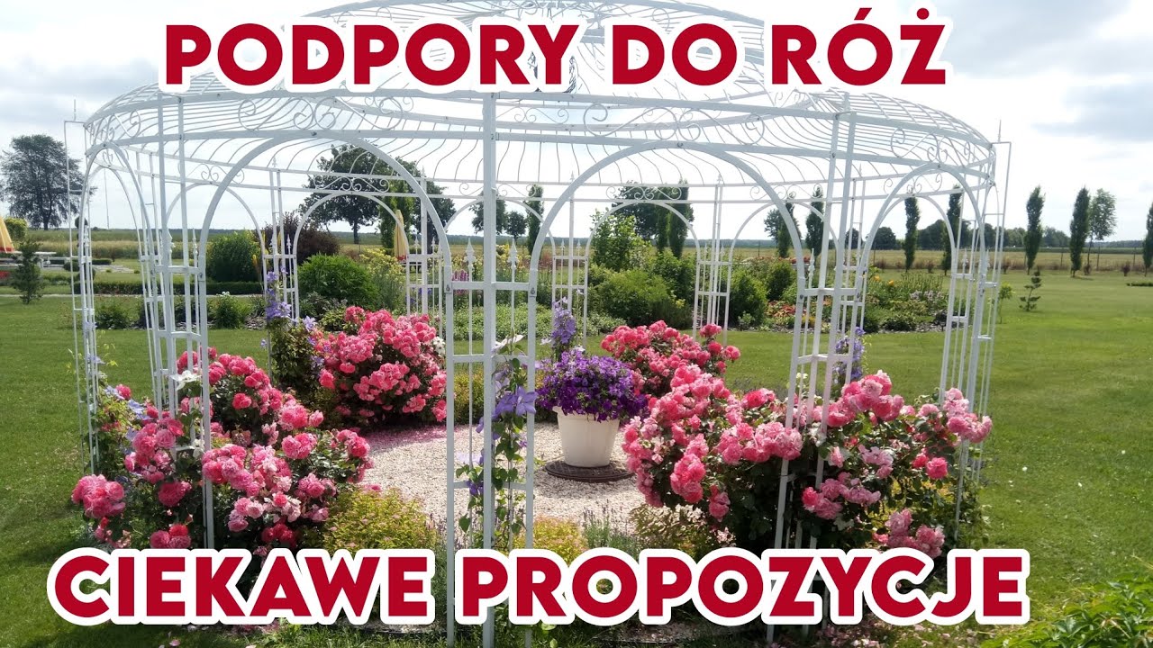 Jakie wybrać podpory dla róż? || Rozaria.pl