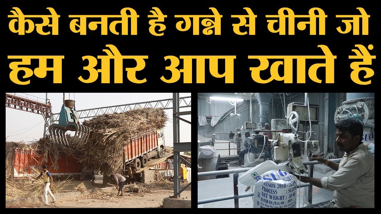 Making of Sugar | “The Lallantop” पर देखिए कि चीनी कैसे बनती है | Baghpat | Sugarcane | Sugar