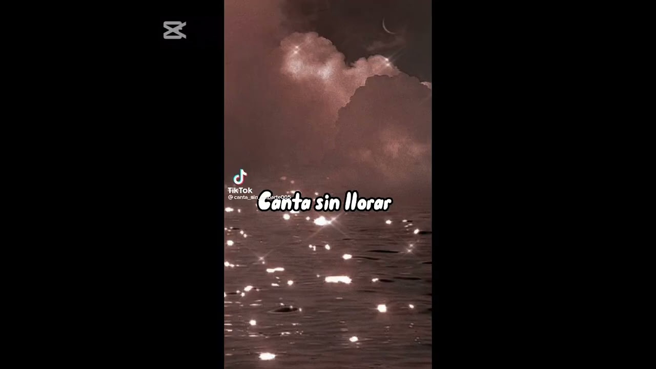 canta sin llorar 😭