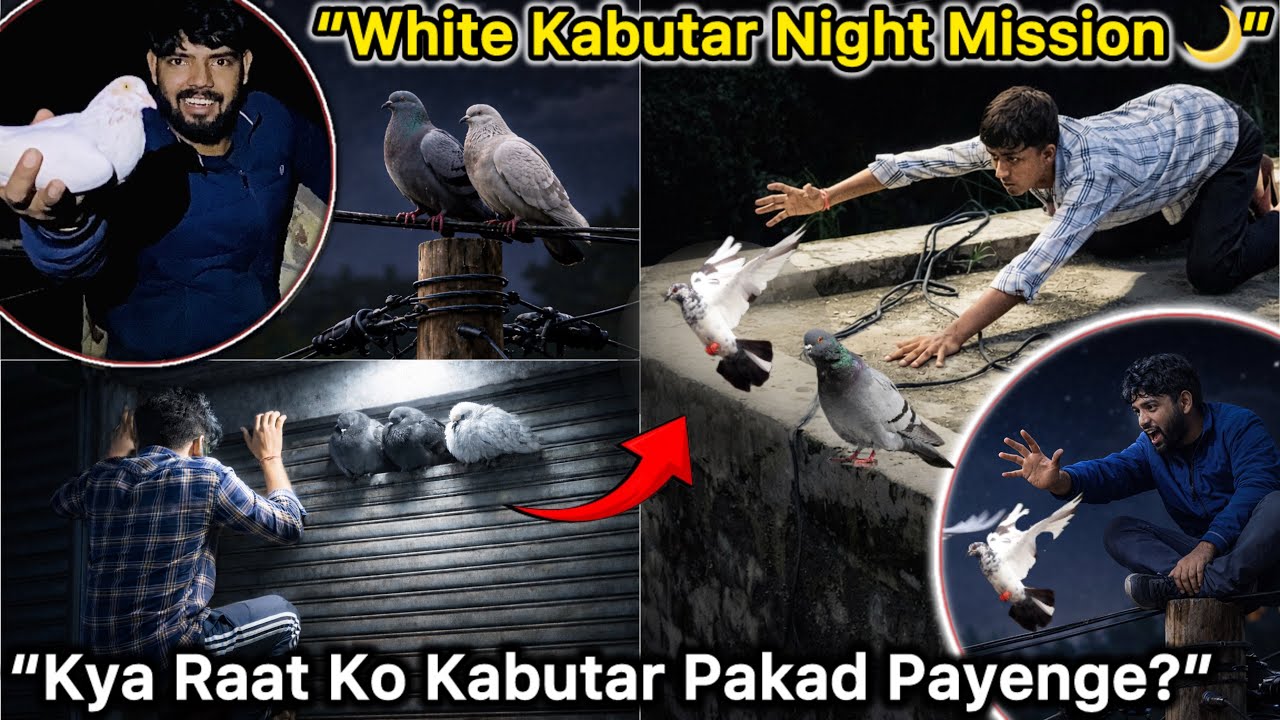 Raat Ko Paltu Kabutar Pakadne Nikle 😱 || “White Kabutar vs Insaan 😮‍💨”