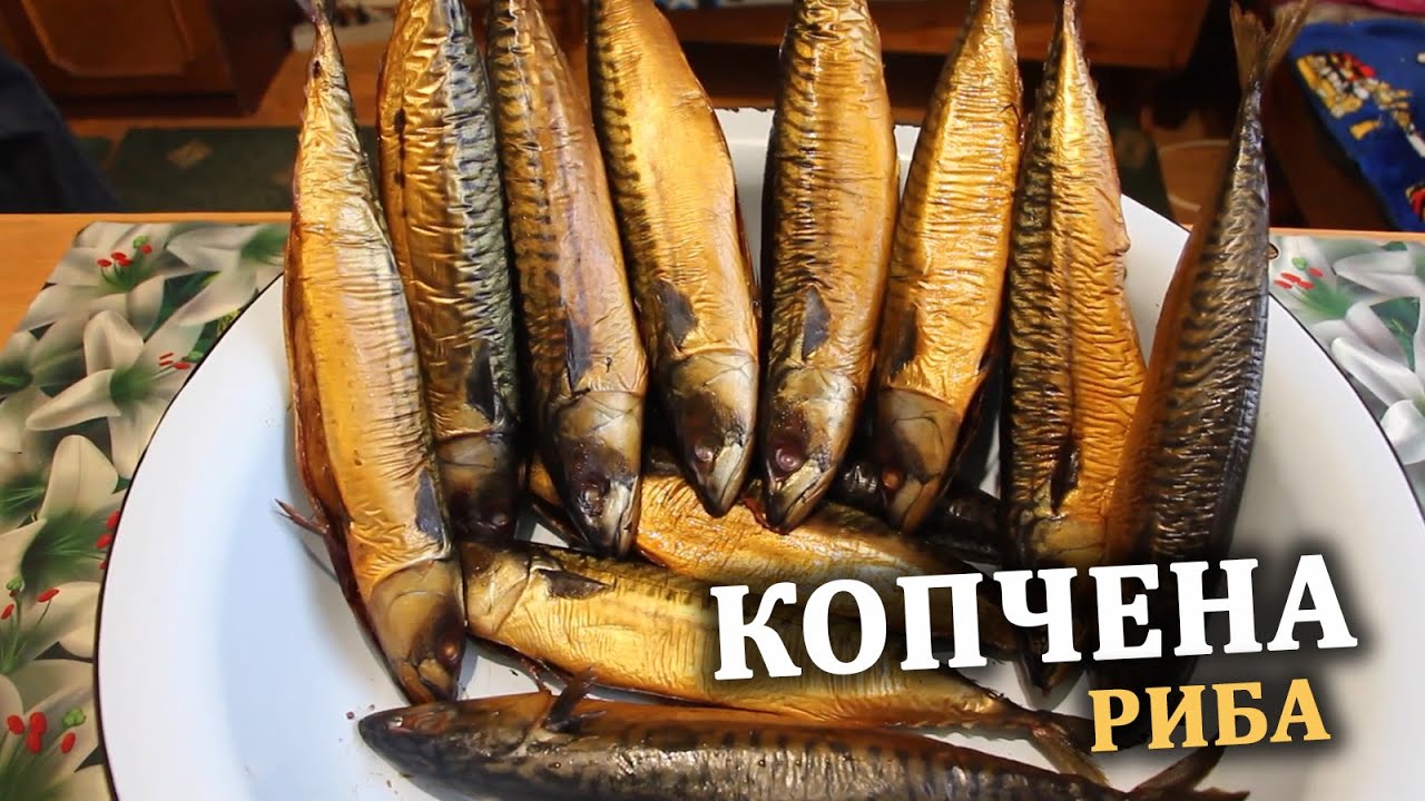КОПТІННЯ РИБИ ВДОМА. Копчена СКУМБРІЯ в бочці. Копчена риба!