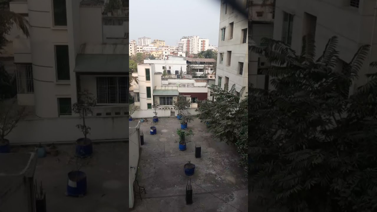 পাপিয়ার শখের রান্না এন্ড ব্লগ  is live❤️❤️❤️#সবাইকে শুভ বিকেল চলে এসো আড্ডায়....