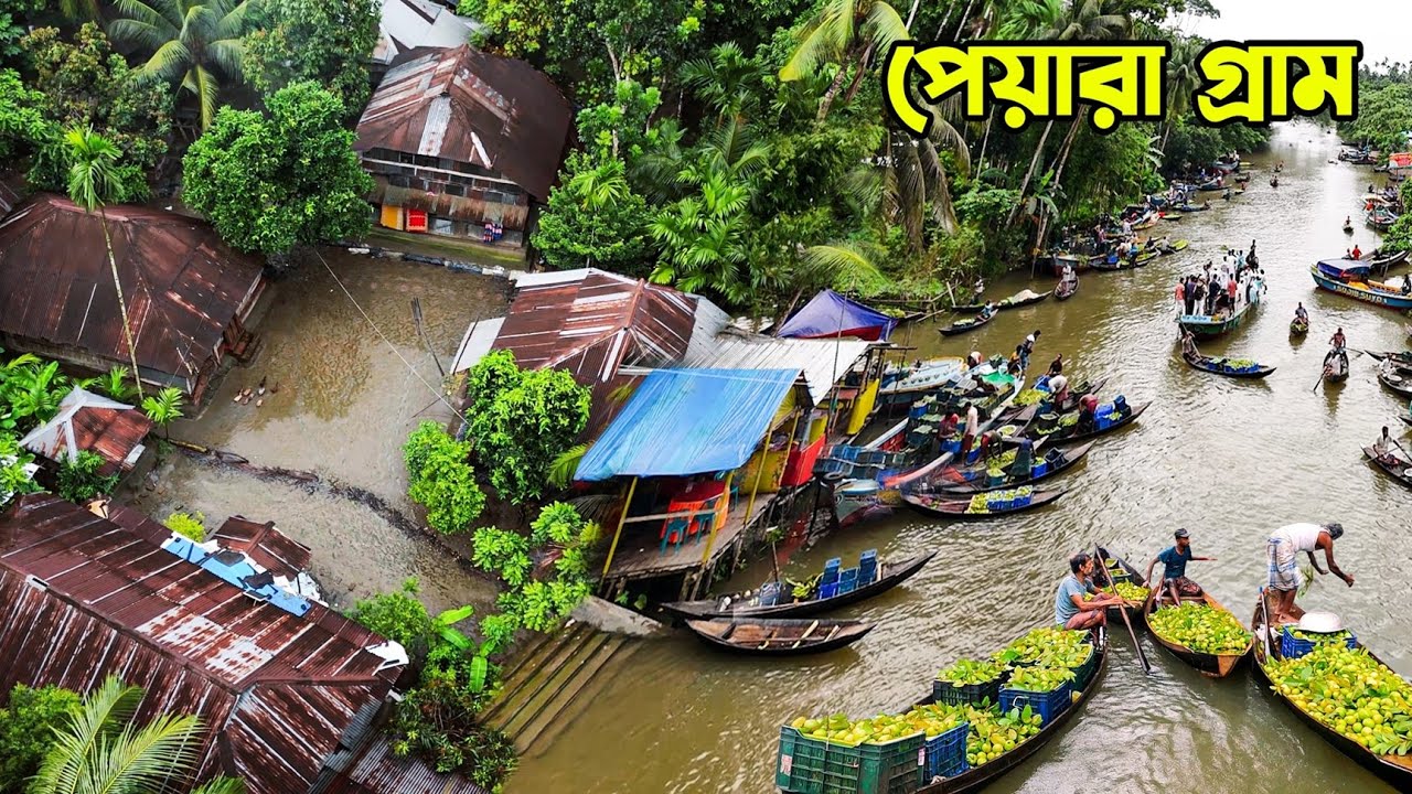 পিরোজপুরের পেয়ারা গ্রাম আদমকাঠী || Panorama Documentary