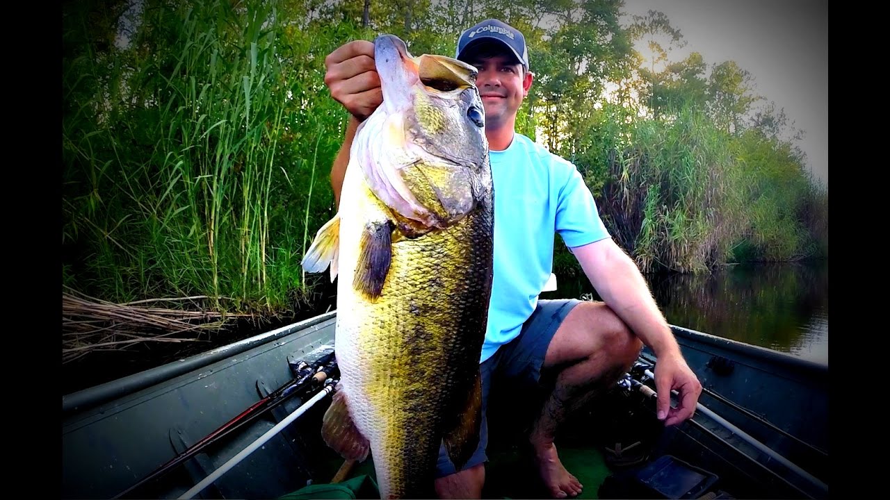 Understanding Big Bass - How to Catch a Trophy Largemouth