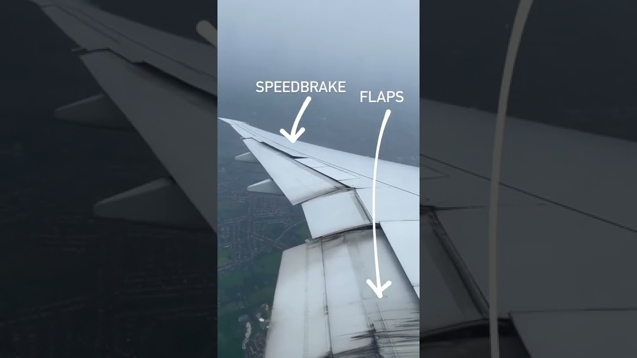 speed brakes e flaps