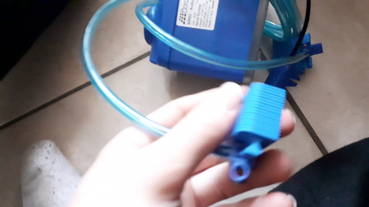 Unboxing de colis pour ma couveuse