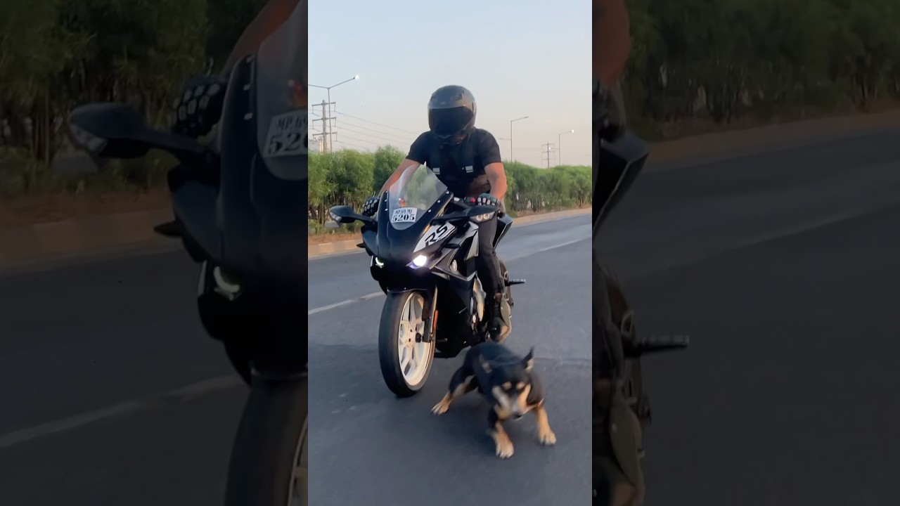 Kya huva jab meri rs200 ke samne bich road par kutta aa gya 😱| wait for end