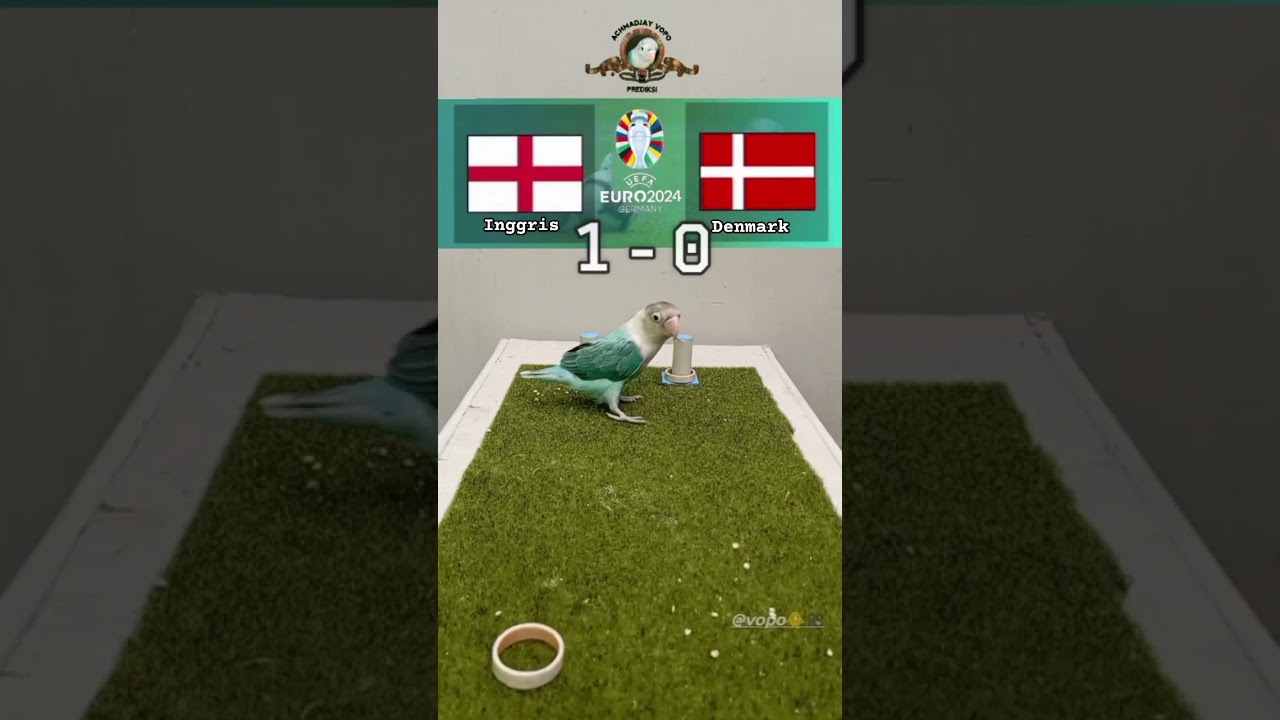 Inggris vs Denmark 