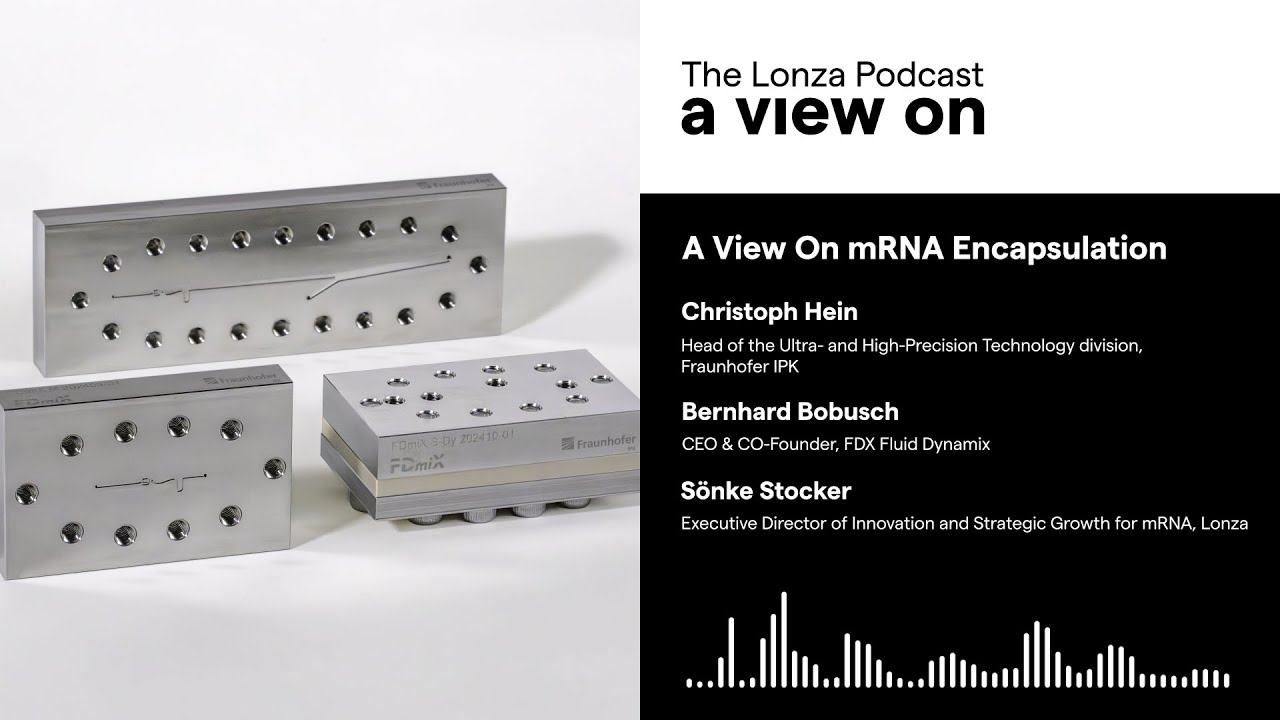 A View On mRNA Encapsulation