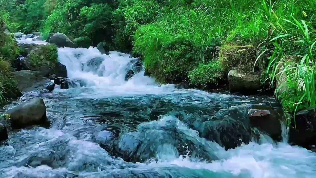 {River Flow Sounds for Deep Sleep Meditation Yoga Bukit Menoreh}