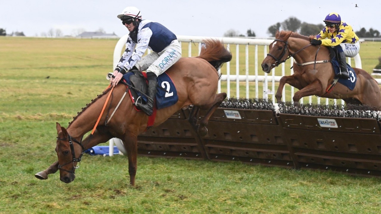 Supreme-bound El Cairos survives final flight scare at Thurles | Full Race | 2026 | Racing TV