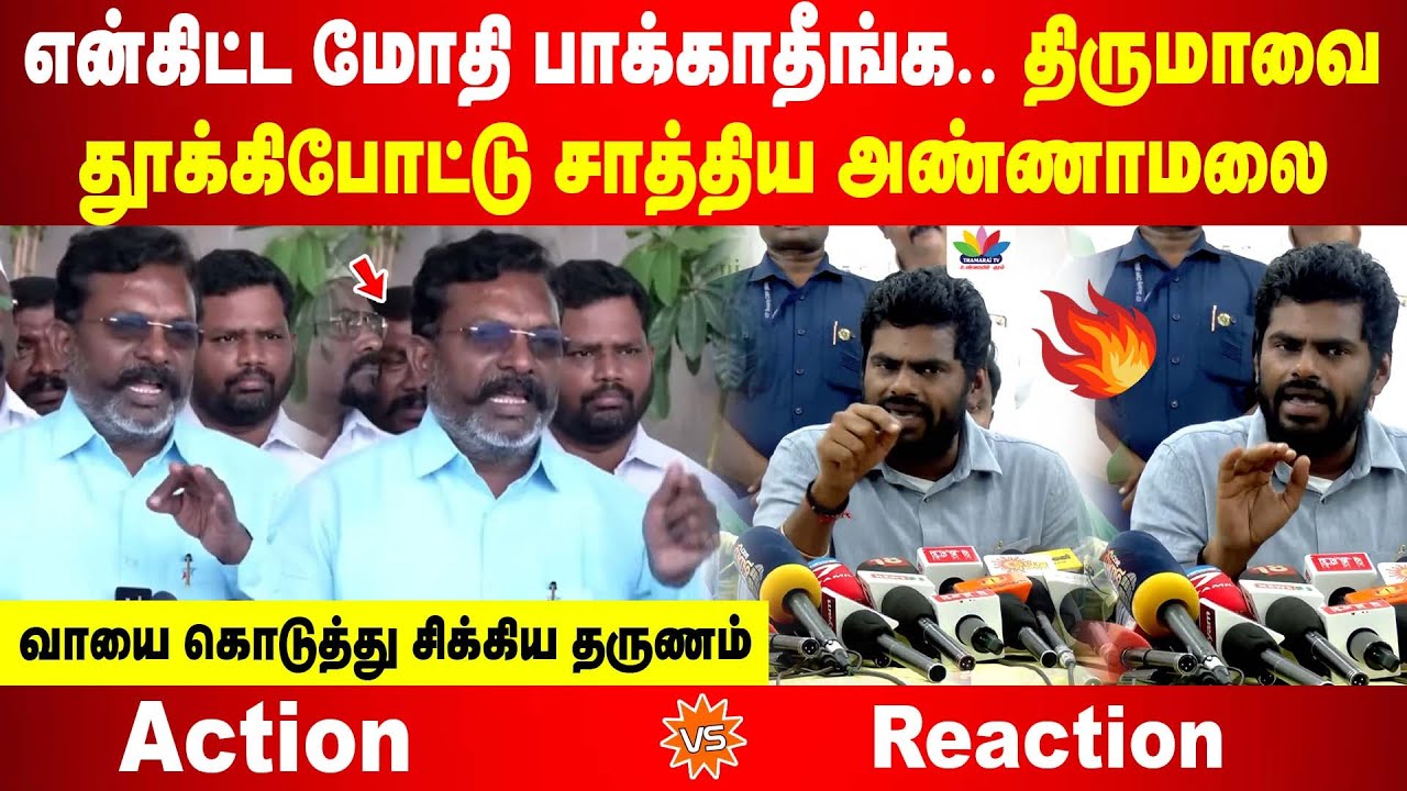 என்கிட்ட மோதி பாக்காதீங்க.. திருமாவை தூக்கிபோட்டு சாத்திய அண்ணாமலை | வாயை கொடுத்து சிக்கிய தருணம்