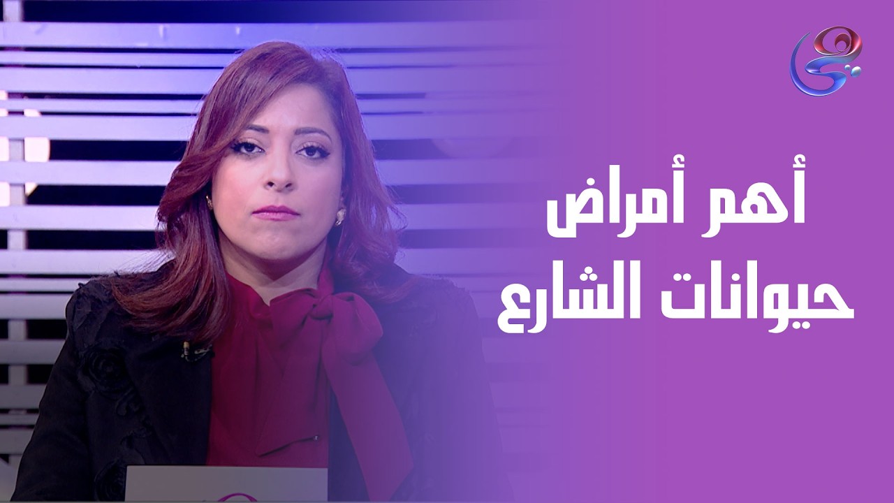 أهم الأمراض المعدية اللى ممكن تعاني منها حيوانات الشارع... د. أحمد شوقي طبيب و جراح بيطري يوضح