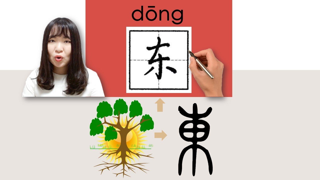 【NEW HSK3】 _#hsk3 _东/東/dong/(east) How to Pronounce/Say/Write Chinese Vocabulary/Character/Radical