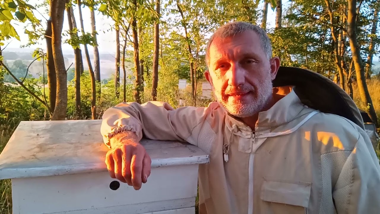 Syta miodowa,niepotrzebna Spadz.I zn&oacute;w Nosemoza 