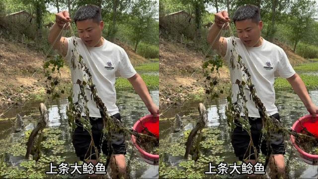 种完花生去收鱼网，感受捉鱼快乐同时也不忘辛勤耕耘，收获着那份丰收与喜悦。
