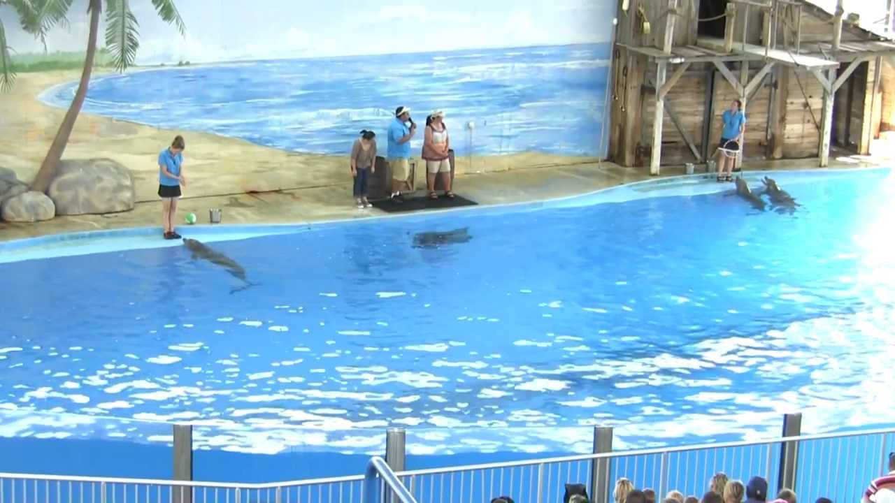 Six Flags Discovery Kingdom (Animal Shows & More)