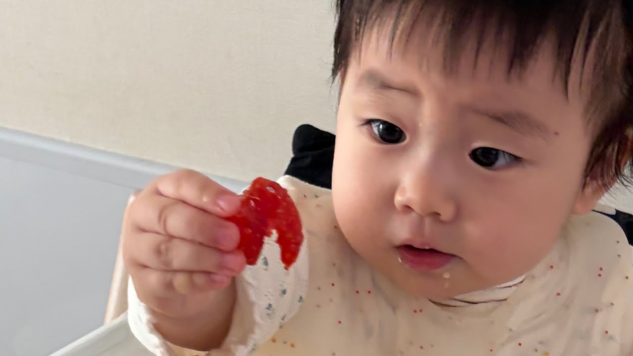 13개월 아기의 하루 일과 vlogl 13개월 아기 발달 기록ㅣ단어 알아듣고 두글자 단어 말하기 시작ㅣ도형 맞추기 가능ㅣ13개월 아기 일과 기상 낮잠 간식 유아식 