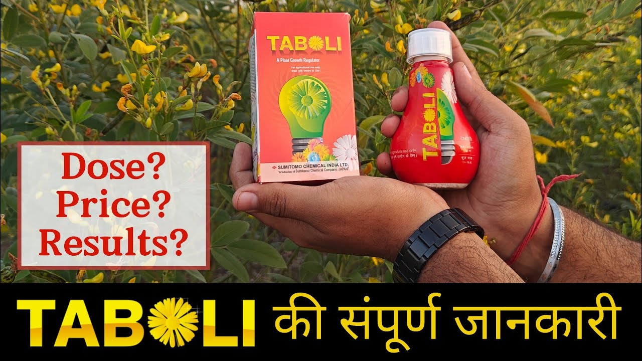 Taboli | Sumitomo Taboli | Taboli Sumitomo | Paclobutrazol 40% SC | Taboli PGR Dose, Price and Uses