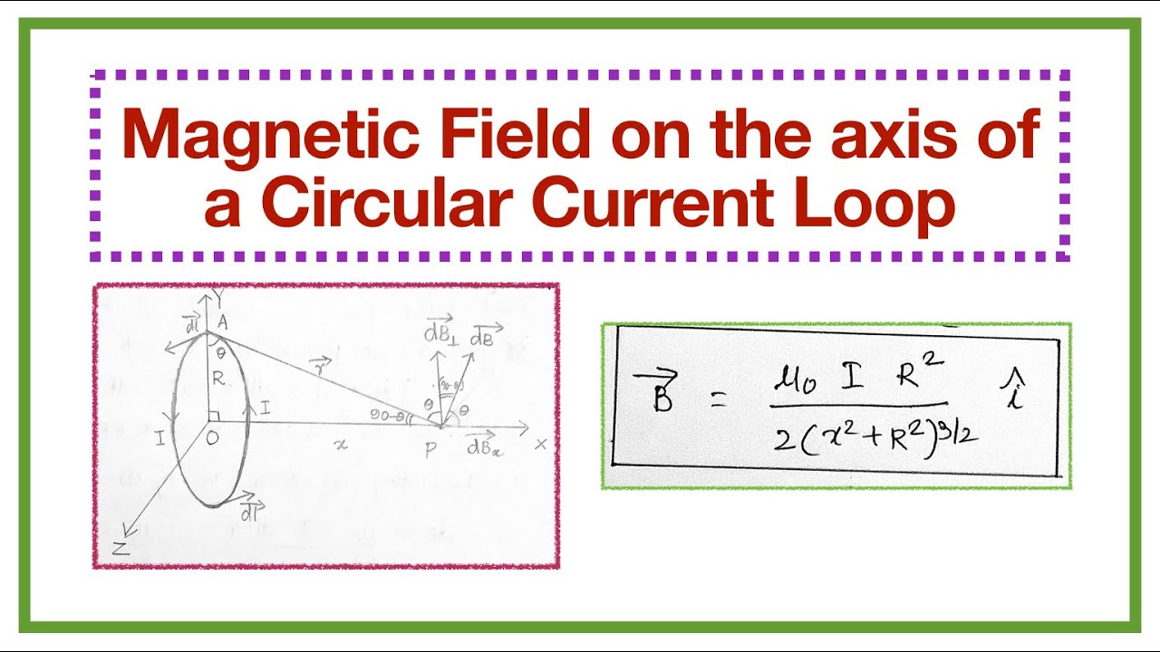 Magnetic Field on the axis of a Circular Current Loop |Moving Charges and Magnetism|Class 12 Physics