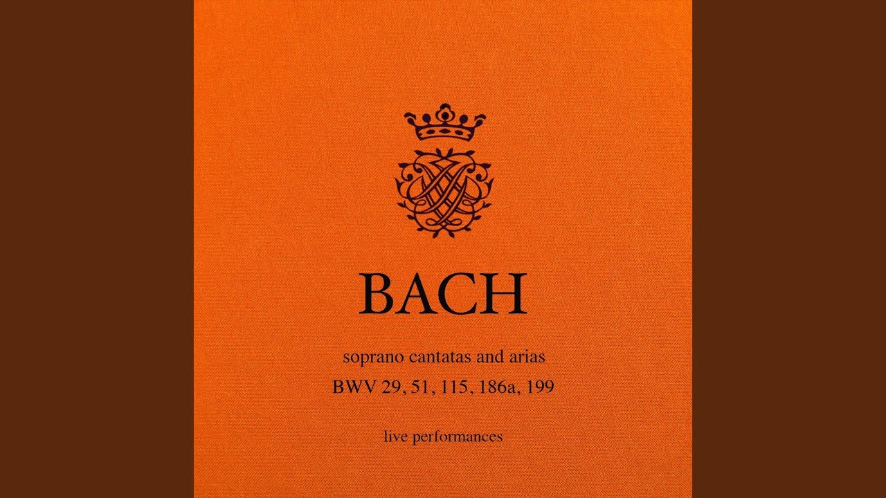 Wir danken dir, Gott, wir danken dir, BWV 29: V. Gedenk an uns mit deiner Liebe (Live)