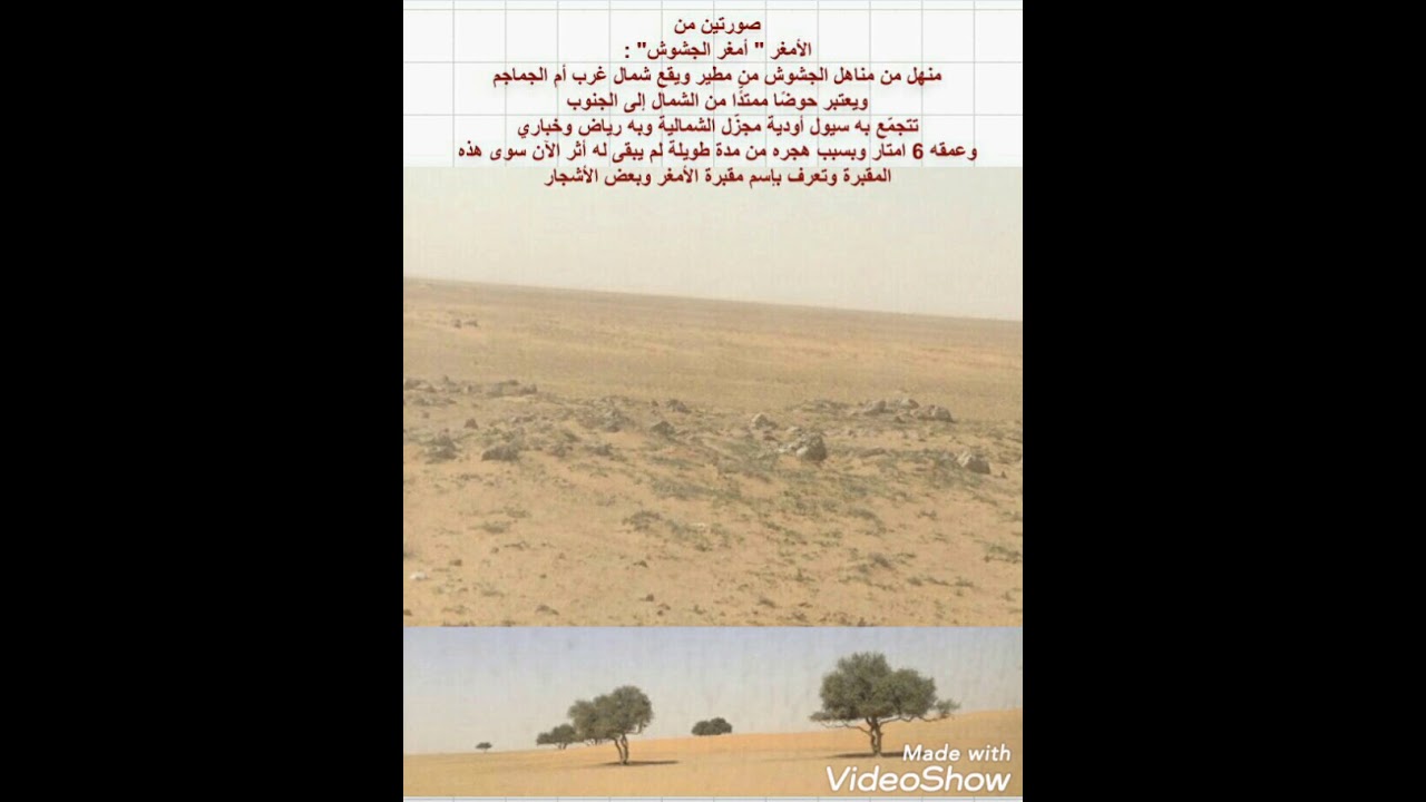 أمغر الجشوش  من  مطير