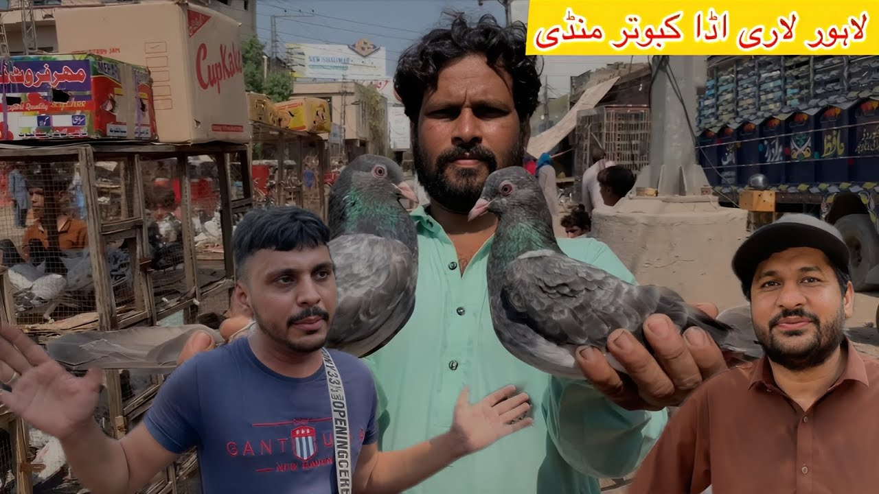 Lahore lari ada Kabutar Mandi || 121 || لاہور لاری اڈا کبوتر منڈی 