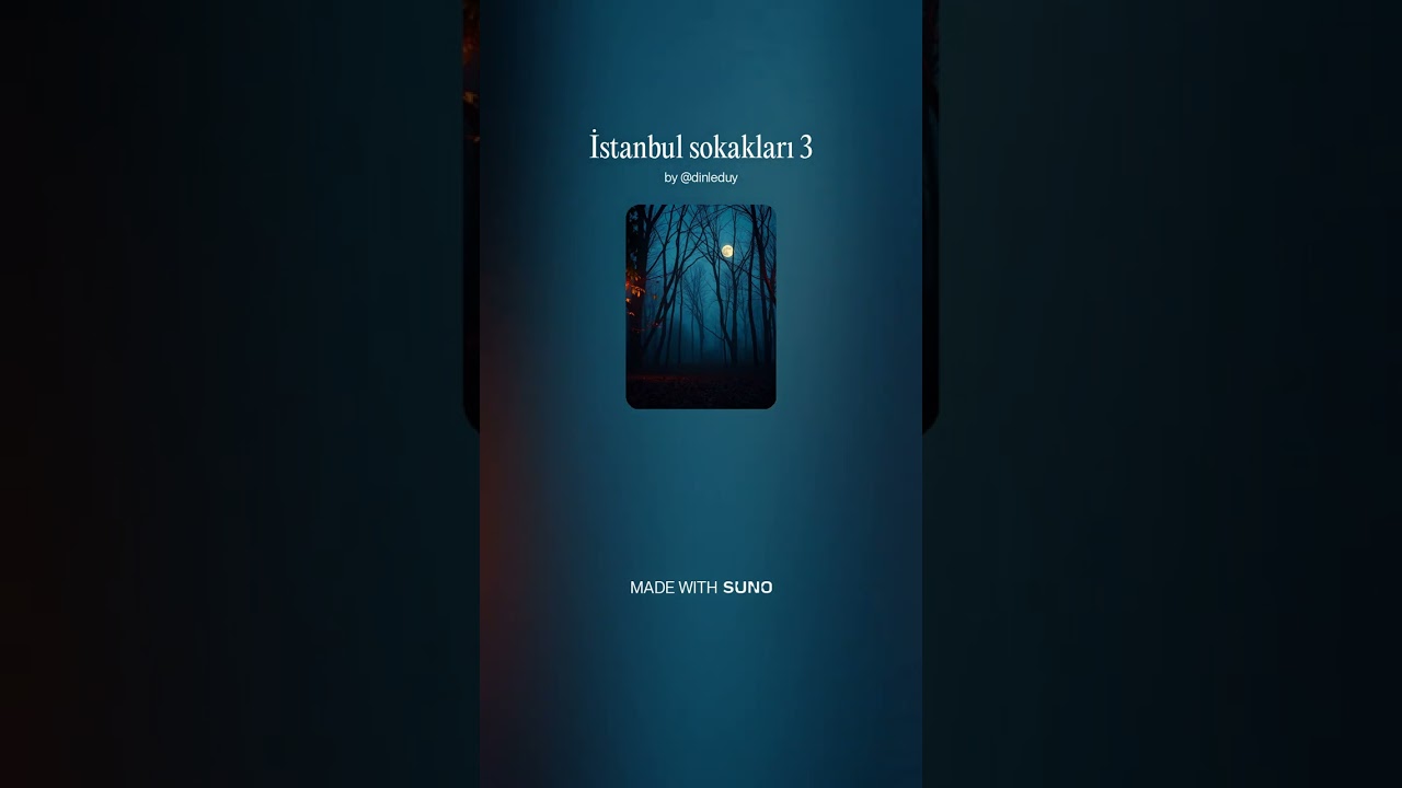 İstanbul sokakları 3