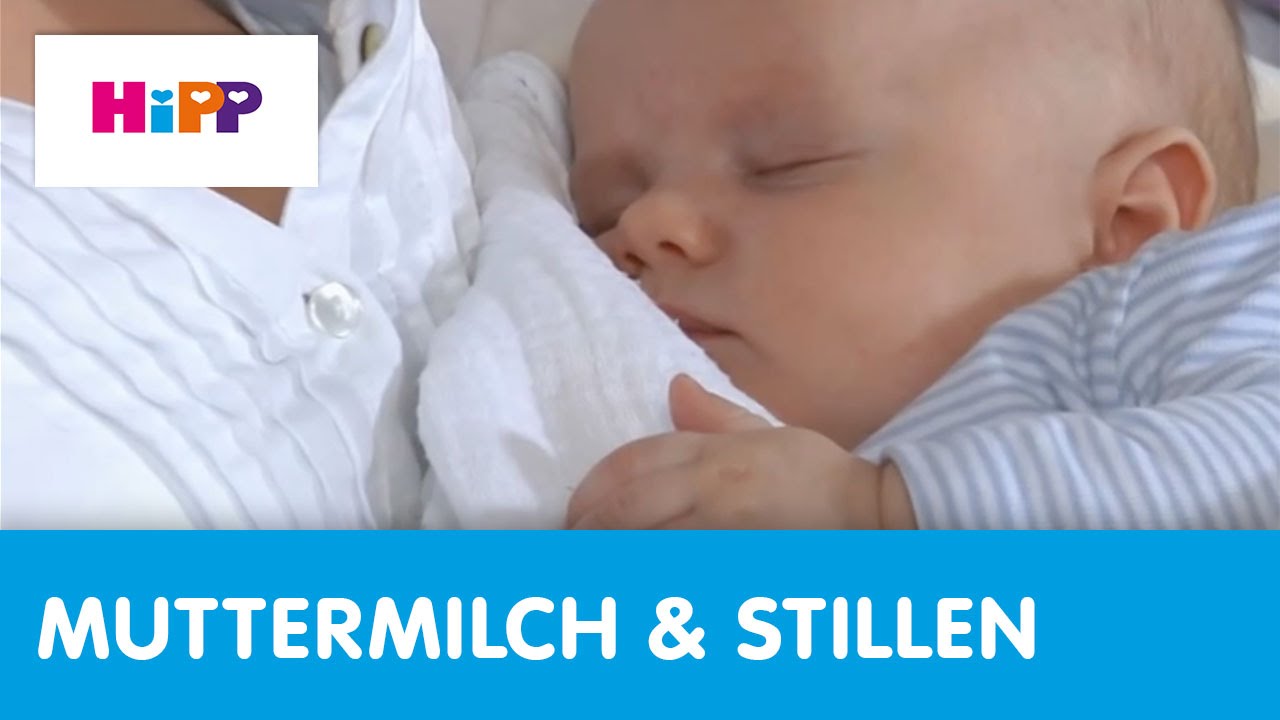 Hebammen-Tipps rund um das Stillen (HiPP Ratgeber)