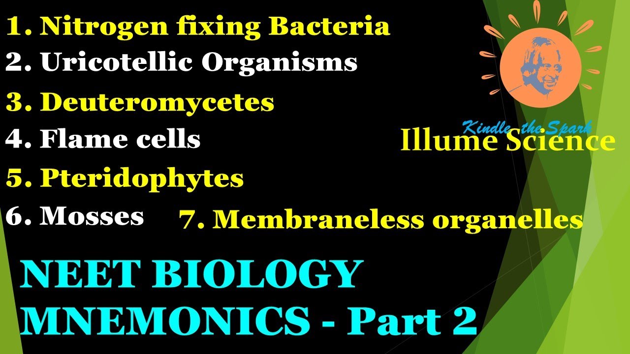 NEET NCERT Mnemonics -- Part 2 | Biology Mnemonics / Tricks | NEET Short Tricks Biology