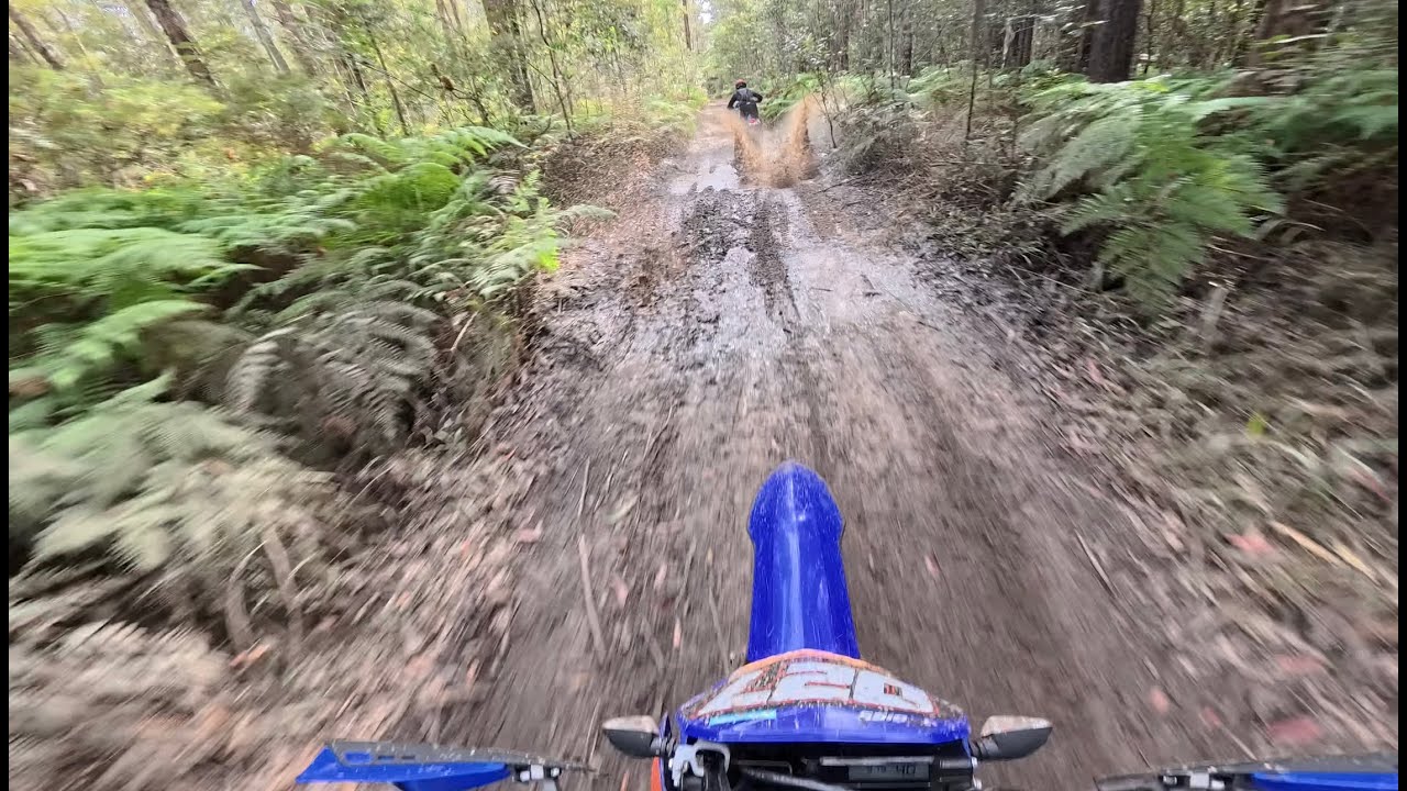 WR450F | FLOWEY BUSH TRACKS GLASS HOUSE MOUNTAINS