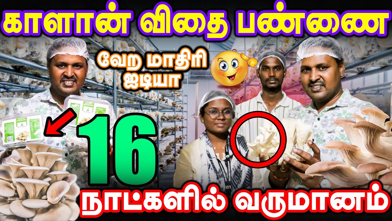 சின்ன இடம் இருந்தா போதும் ☺️| காசை அள்ளித்தரும் காளான் வளர்ப்பு | Mushroom Farming 🍄