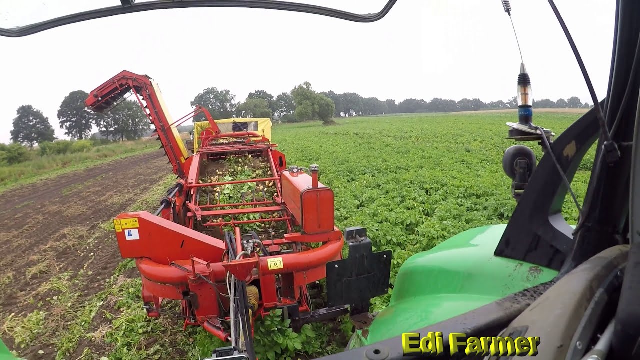 🥔 ZPDT 🥔 Картофель от поля до тарелки: как мы это делаем Grimme DL 1500 Deutz Fahr Agrotron 6130.p