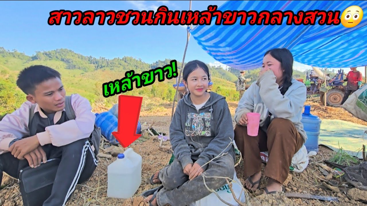 สาวลาวชวนกินเหล้าขาว สาวชนบทที่กินเหล้าขาวเก่งที่สุด😳27 ธันวาคม ค.ศ. 2025