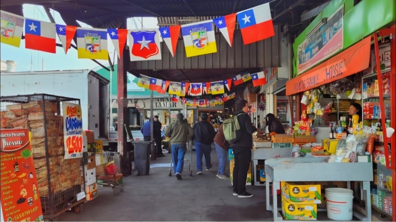 MERCADO  CALLEJERO  FRANKLIN  | Santiago Chile 🇨🇱 