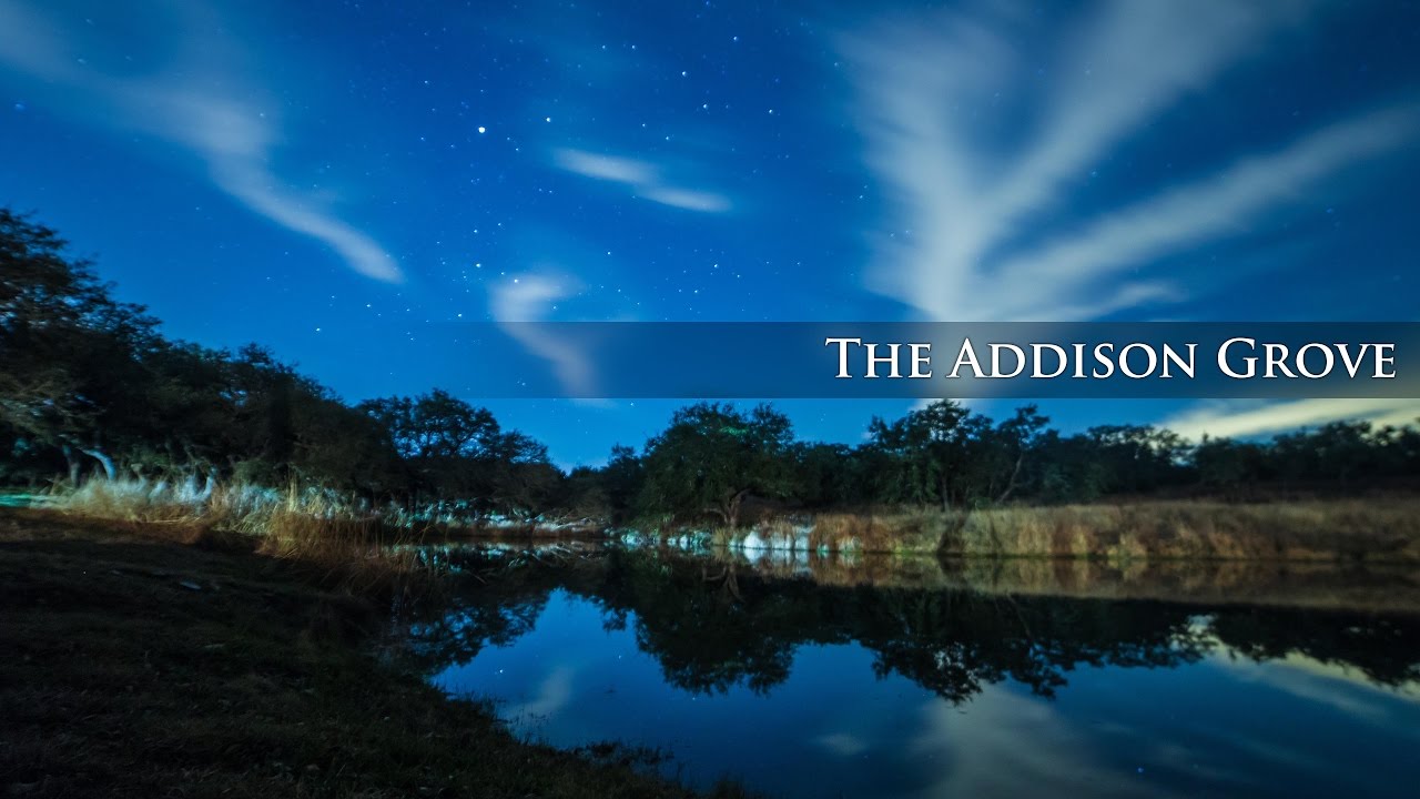 The Addison Grove Wedding - Austin Texas