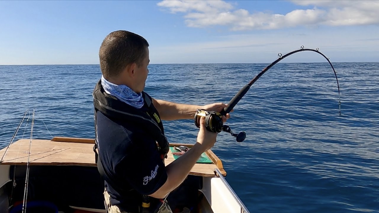 Deep Sea Wreck Fishing - Fishing sunken Shipwrecks for BIG Fish for food | The Fish Locker
