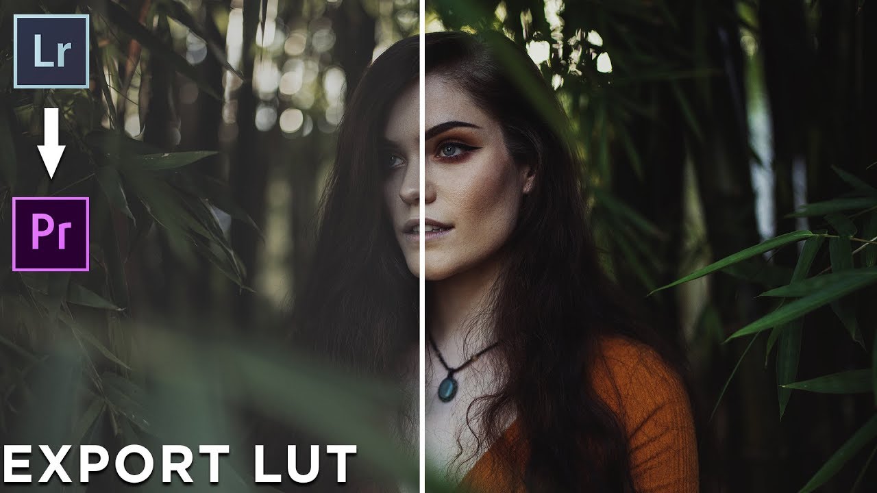 ¡Convierte tus PRESETS de Lightroom en LUTS para VÍDEO!