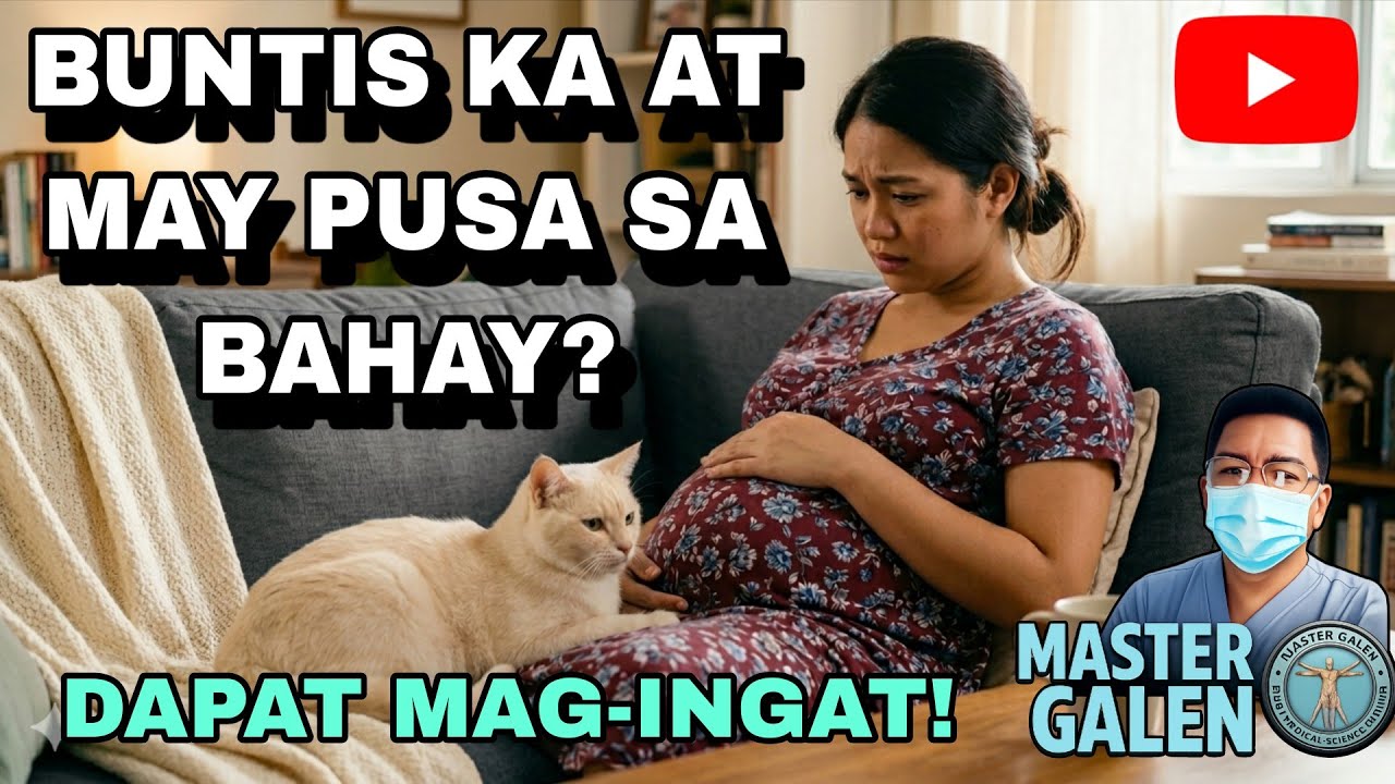 Babala sa mga Buntis kapag may alagang pusa sa bahay.